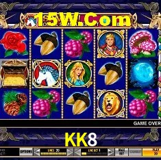 KK8 - Customer Support